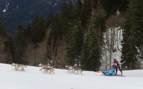 Un trail forestier au Col de Porte 
